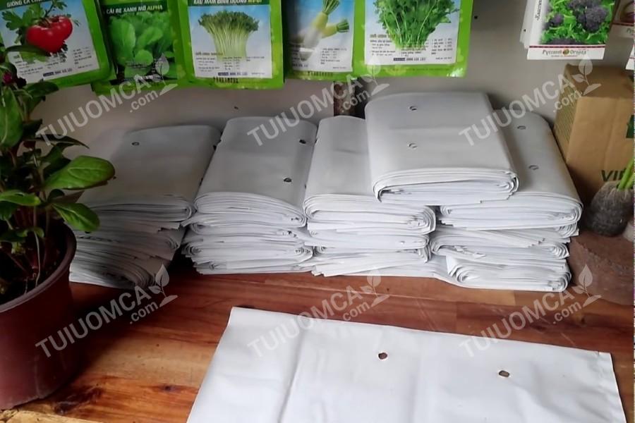 Túi ươm cây cà chua được sản xuất tại Túi Ươm Cây