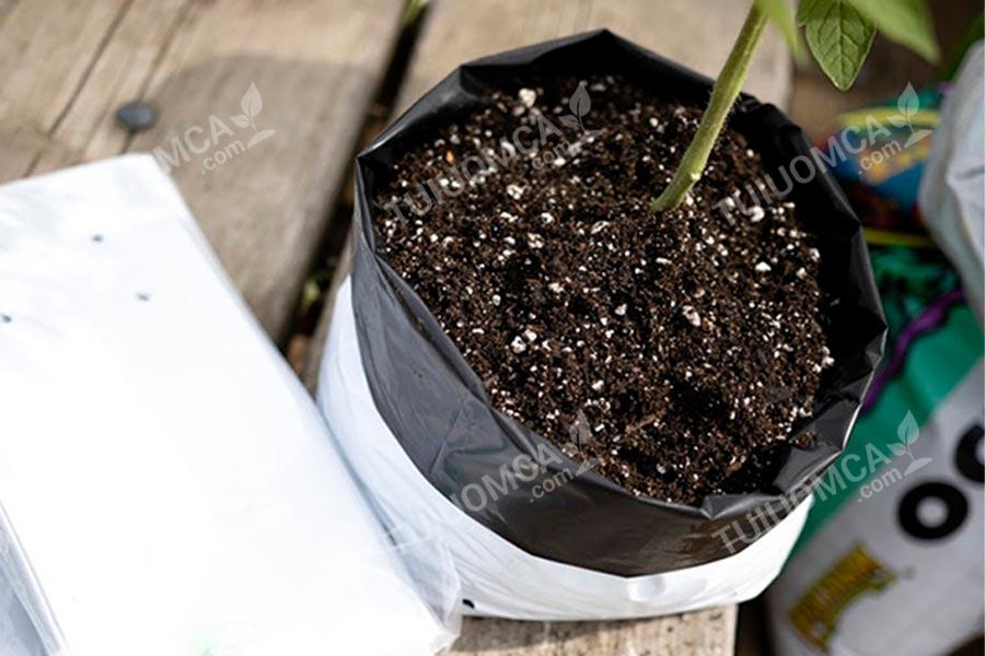 Túi trồng cà chua với 2 lớp dày dặn ngăn hấp thụ nhiệt