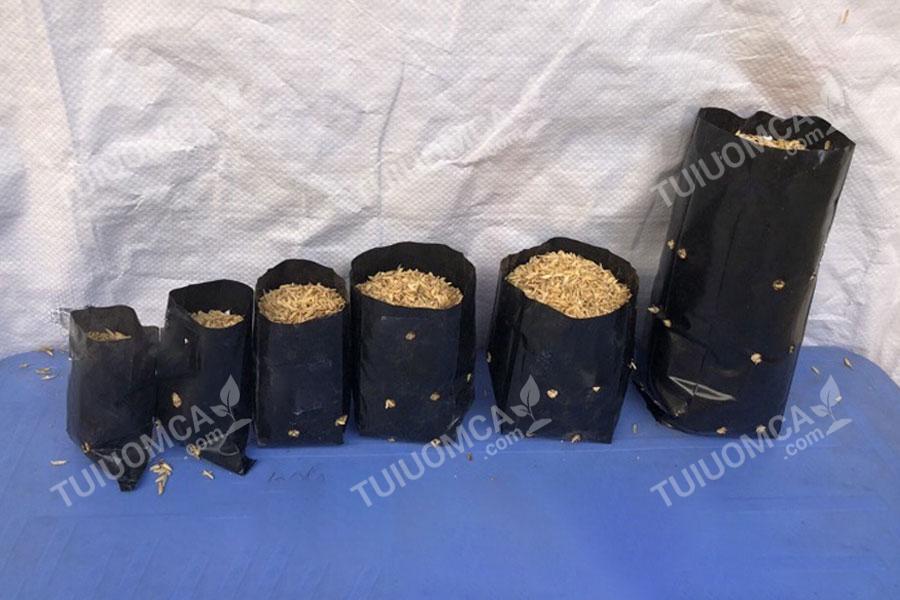 Túi ươm cây ăn quả với kích thước đa dạng cho nhiều giống cây